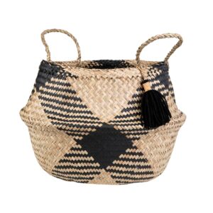 Tribal Tassel Basket plant